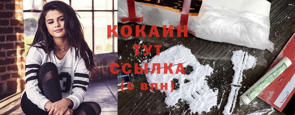 spice Алзамай