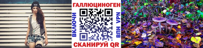 Галлюциногенные грибы Psilocybine cubensis  Хотьково 